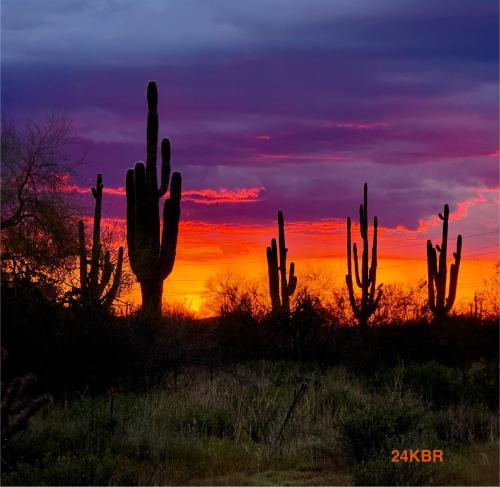 A68E945B-3D9D-4B42-95FD-3D85756A1A6C