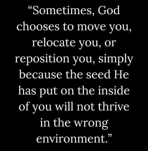 IMG_20240313_051926_494