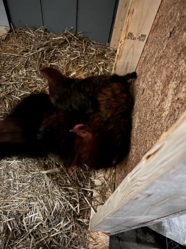 3ECEFA04-2BBC-4CA4-A7D3-96A5B7089F97