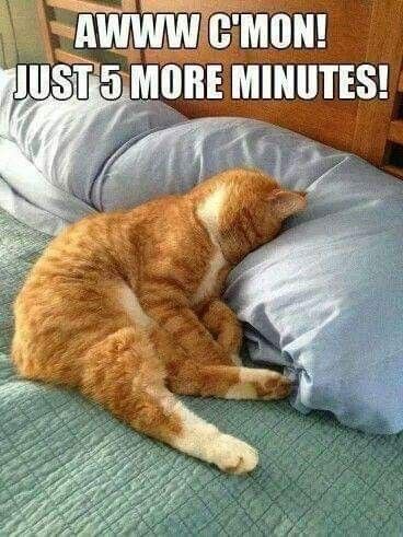 877b90d00149b8fdaf764e215b6fb2a4