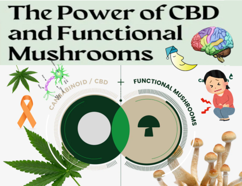 CBD and Functional Mushrooms benefits