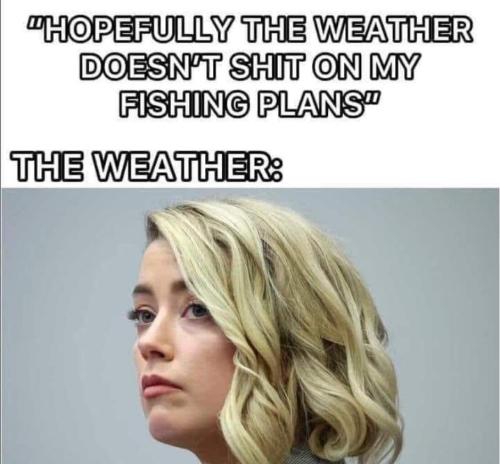 FB_IMG_1709802255387