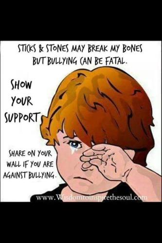 11255225_897589933617388_3562339384479490711_n