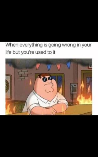 Screenshot_20240325_194932_X