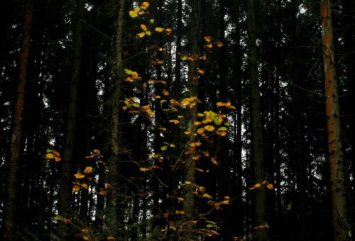 IMG_20151018_205821~2