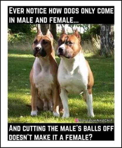 FB_IMG_1710047551397