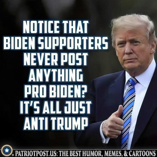 pro biden