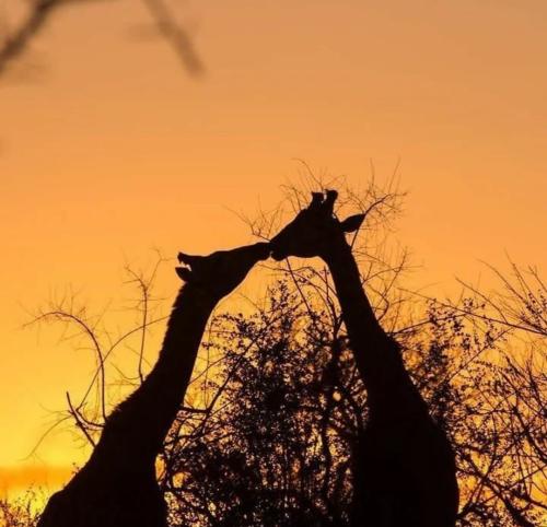 19:16:36 GMT-0500 (CDT)