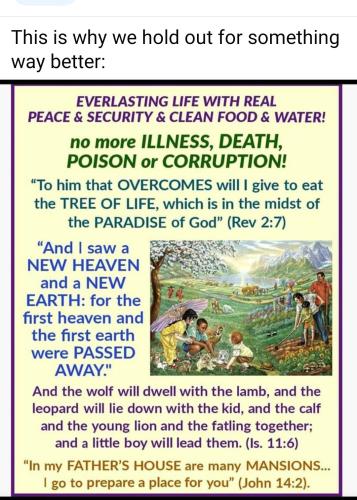 12:04:26 GMT-0500 (EST)