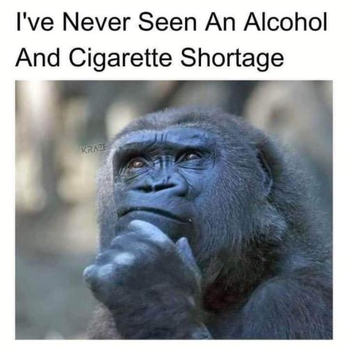 IMG_20240324_180346_931