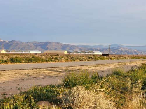 431474790_1305974743432660_6415540246712928474_n