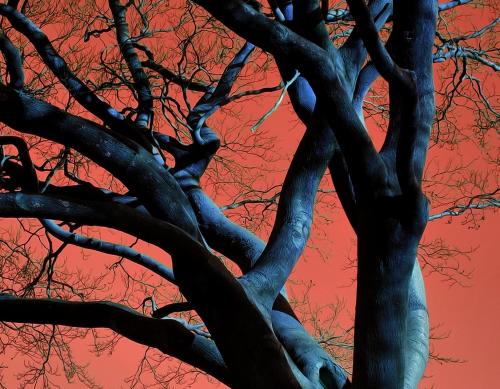 PicsArt_04-16-03.13.55~2