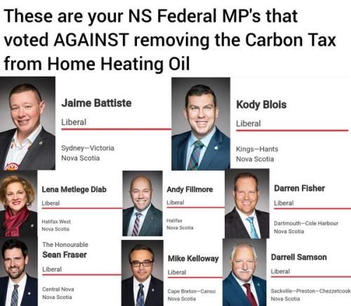 NS federal MPs