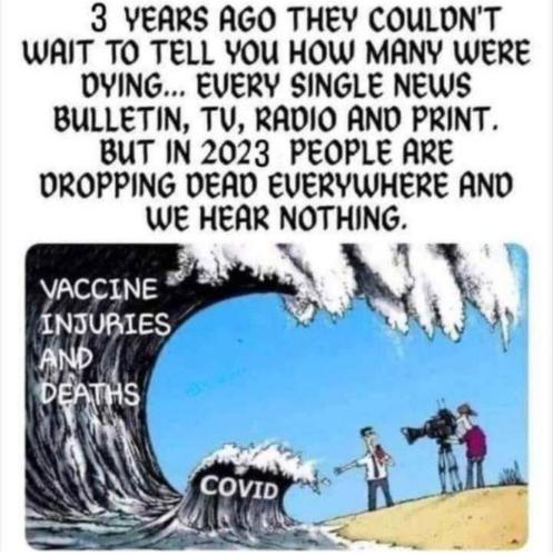 IMG_20240319_011245_457