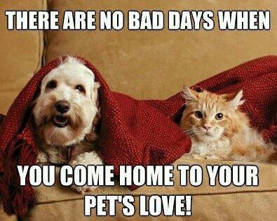 2fe17dfb2e391069c9e656e3038a72d5