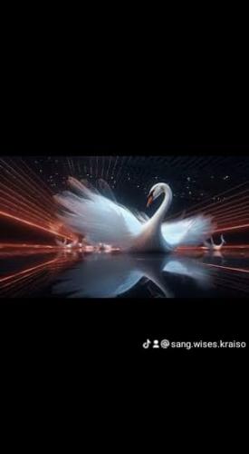 ,,, 420829553_34680243160