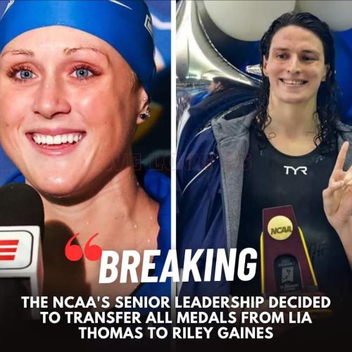 86ec77b9-04e3-4e19-a90e-240768284890