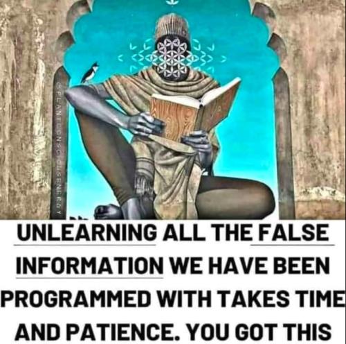 IMG_20240303_121727_049