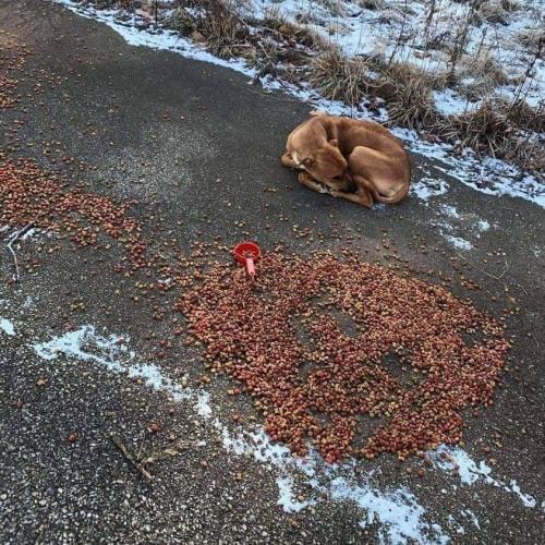 20:10:01 GMT-0500 (CDT)