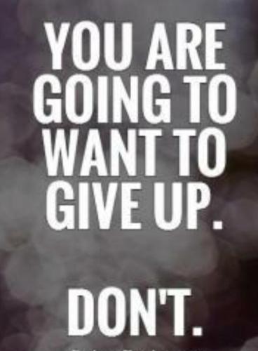 sngine_c4a9a86594ec0a9c6c0ffc754038e884