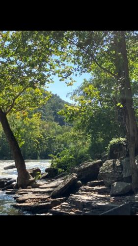 10B99EAE-D44C-41AC-9F1E-77B17EDDF12A