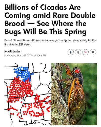 FB_IMG_1711761066158