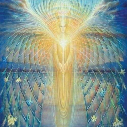 ,                             ,     ,