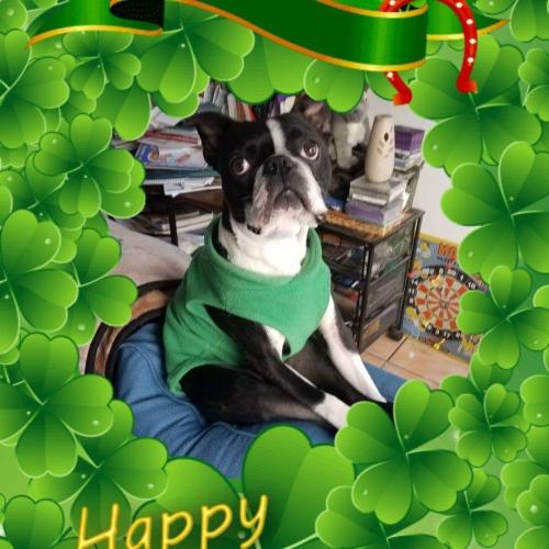 FB_IMG_1709882296799