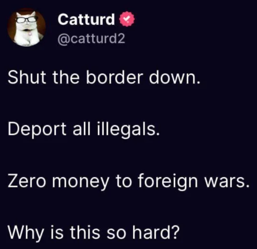 Catturd on what to do