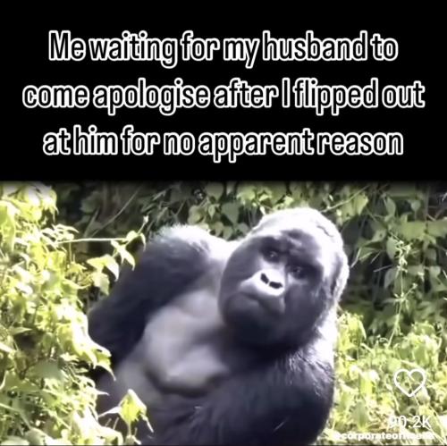 Screenshot_20240329_092248_Instagram