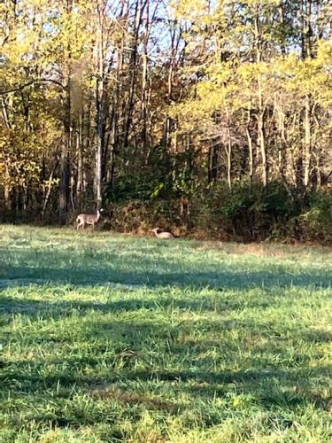 0149BF34-52D7-417A-A575-8AA9D4DAF228