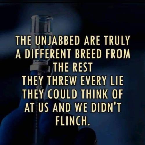 InstaFit_17112449142667630143308678648522