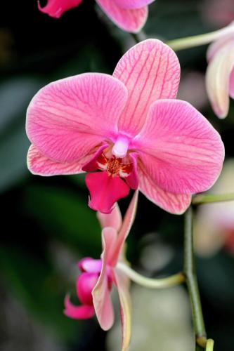 img-74f676d1