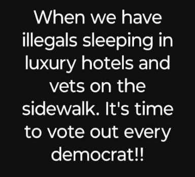 vets on street illegals in hotels
