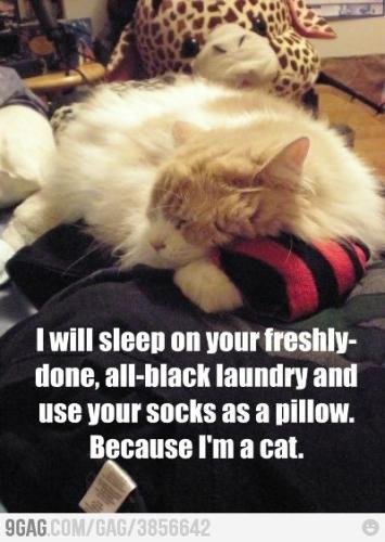 81f3936cb2fa7313c915178934f01f1b