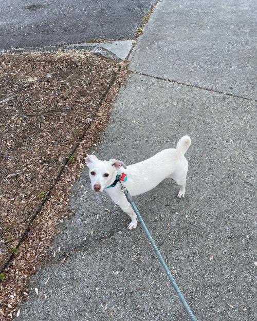 drdaveatl_171153897768711