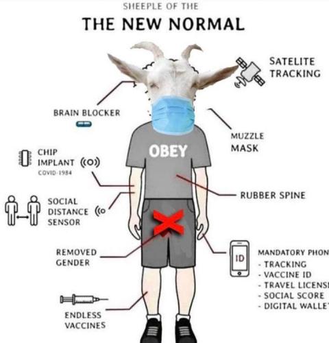 photo_2024-03-12_12-17-36