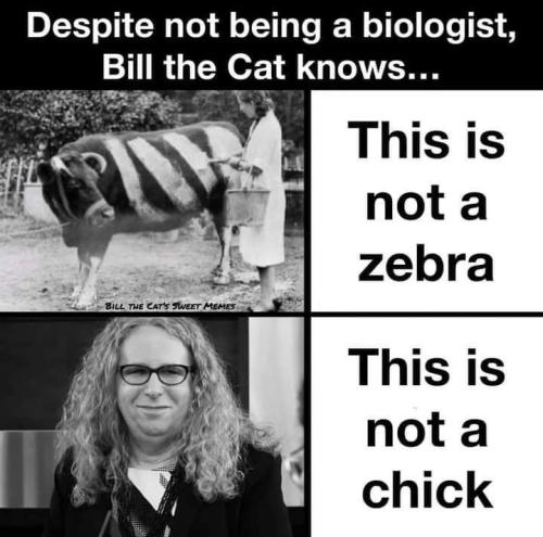 FB_IMG_1709709224512