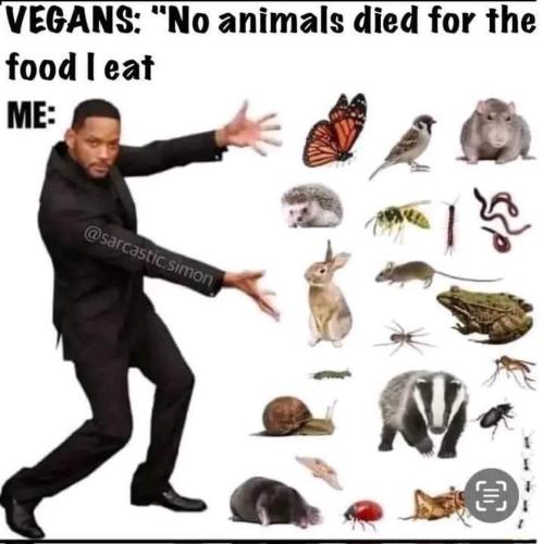 no animals