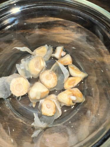 C17EF4E7-3709-426E-B83D-862E0434F2F8