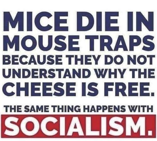 Socialism mouse trap