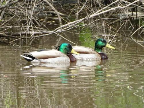 17:51:07 GMT-0500 (CDT)