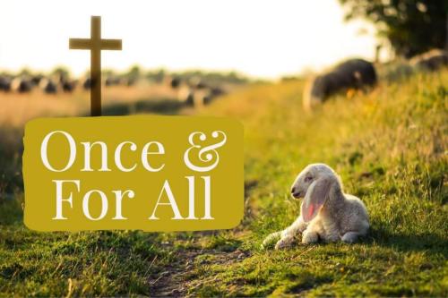 cdb0e60a-082e-4917-bc41-85adc0c3ceb7