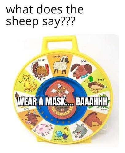 FB_IMG_1710169987761