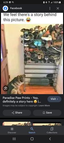 Screenshot_20240318-182923_Google