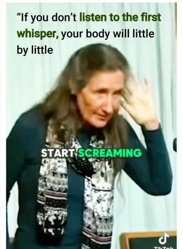 10:06:08 GMT-0400 (EDT)