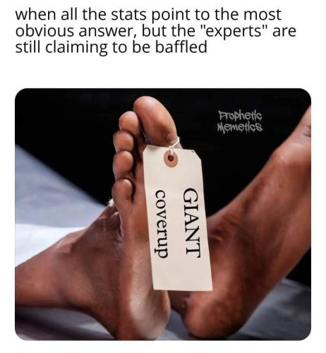 IMG_20240330_095015_443