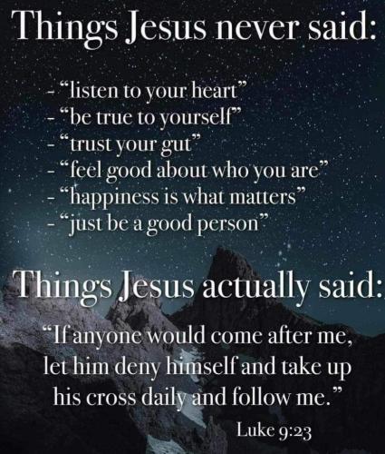 45ce0cb3-50e4-42ea-ba99-4f8bbed49127