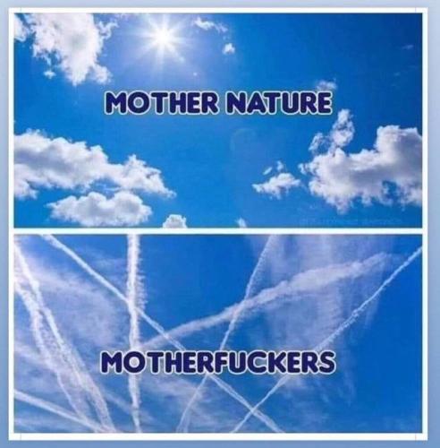 IMG_20240322_011407_570