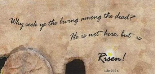 abbda419-0c45-4e61-a97d-07f77982bd84